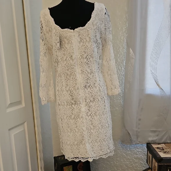 WHBM Elegant White Lace Dress - Picture 4 of 16